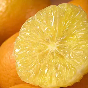 Deqing Gongkan 2023 King Tangerine Pack ( pieces/box 4.5kg) high-quality export citrus, golden yellow skin and thin, melts in the mouth, refreshing and slag, full of water