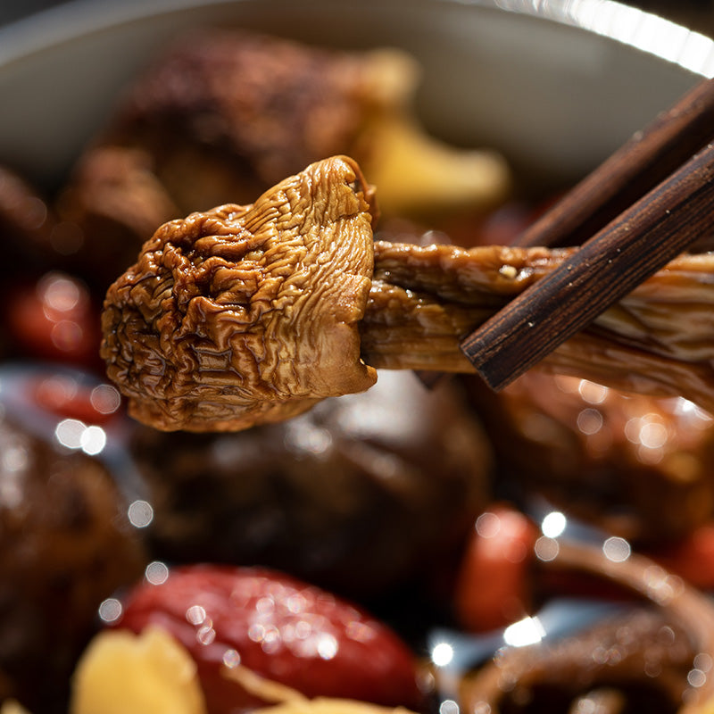 Embark on a Culinary Adventure with Premium Matsutake Mushrooms