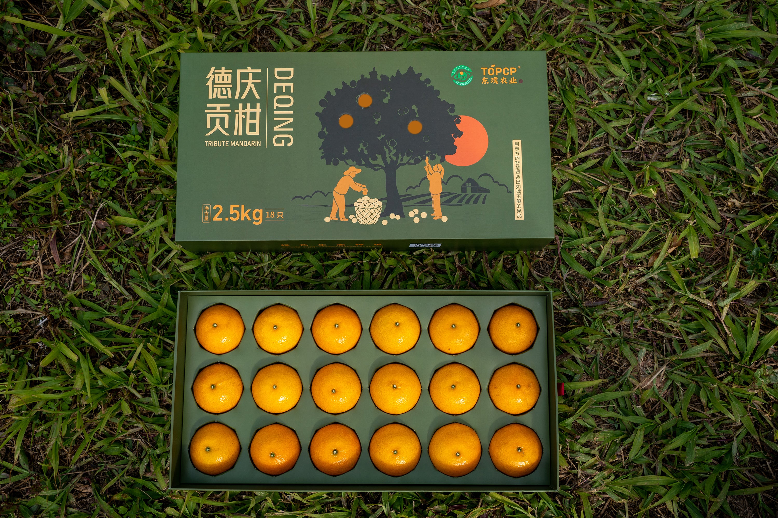 Deqing Gongkan 2023 King Tangerine Pack (18 pieces/box 2.5kg) high-quality export citrus, golden yellow skin and thin, melts in the mouth, refreshing and slag, full of water